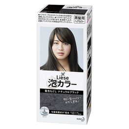 리제프리티아거품 칼라머리카락색도 제도해 내츄럴 블랙 (의약 부외품)