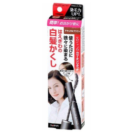 살롱 드 프로 컬러 선택 리터치 EX 내츄럴 브라운