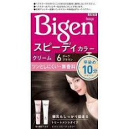 비겐 스피디 칼라 크림 6 다크브라운