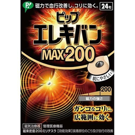 피프 에레키반 MAX200 자석파스 24매