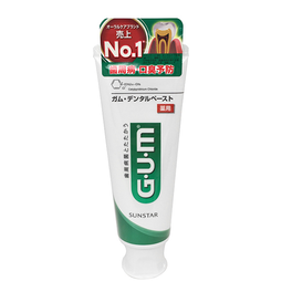 GUM 덴탈 페이스트 치약 120g