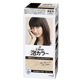 리제프리티아거품 칼라머리카락색도 제도해 내츄럴 브라운 (의약 부외품)
