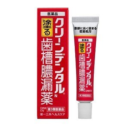 클린 덴탈 바르는 치조농루약 16g