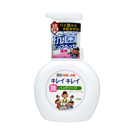 아름다움 약용 핸드비누 펌프용 250ml