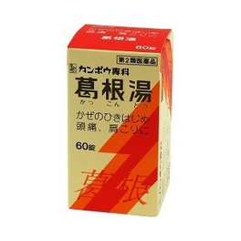 갈근탕 엑기스정 60정