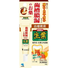 생엽 구강 연고 20g