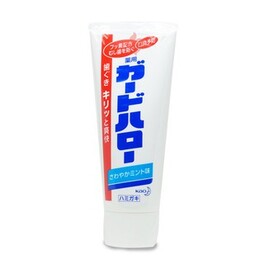 가드 헬로 치약 165g
