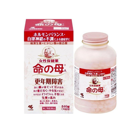 이노치노하하 A 84정